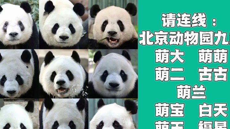 得物分期付款全攻略：让你的潮流消费更智慧