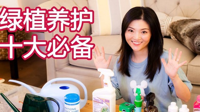 得物的佳物分期怎么套出来