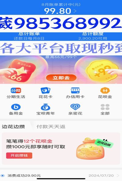 洋洋花呗：场景化信用评估新平台