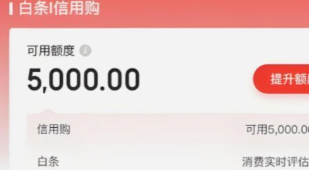 京东白条提现方式 哪个最好